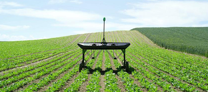 Robot consome 20 vezes menos herbicidas